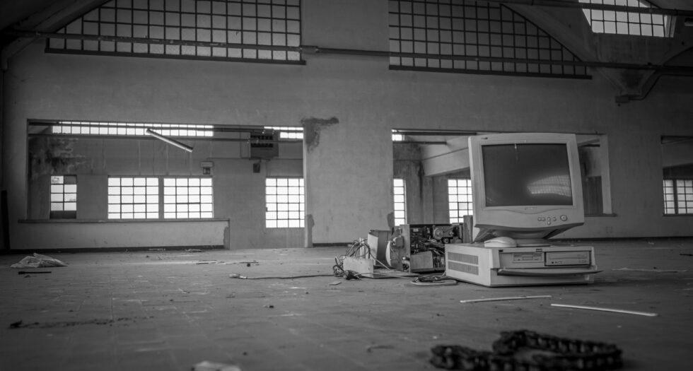 WTD world trade display beginnings